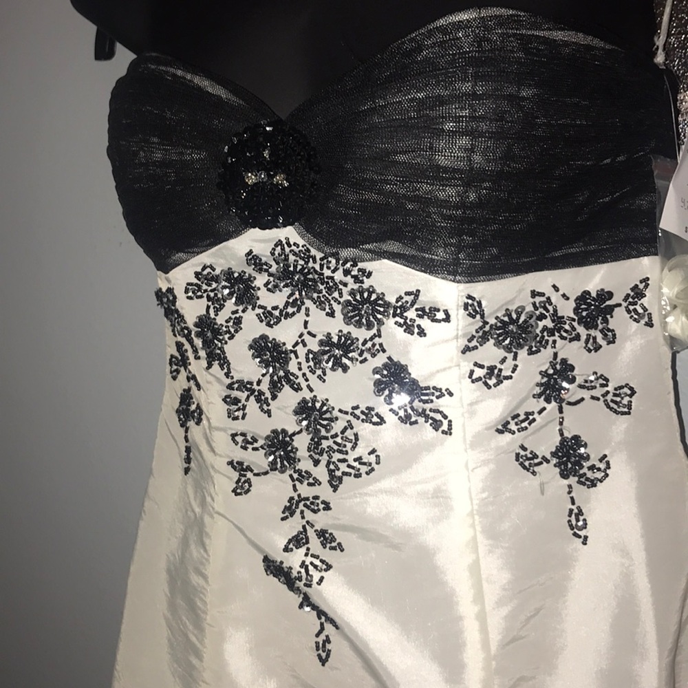 Gorgeous dress! Size 3/4